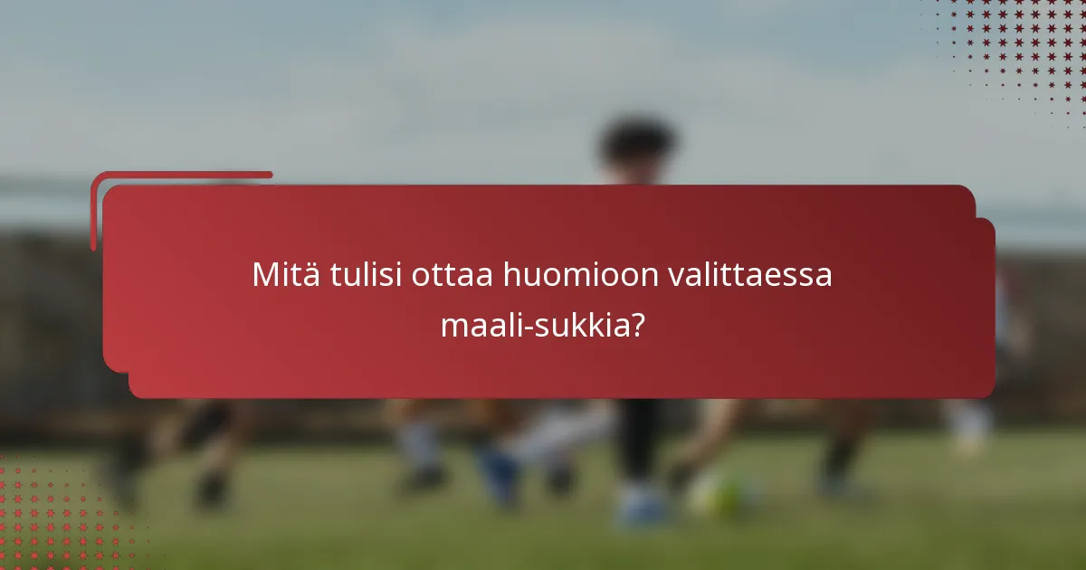 Mitä tulisi ottaa huomioon valittaessa maali-sukkia?