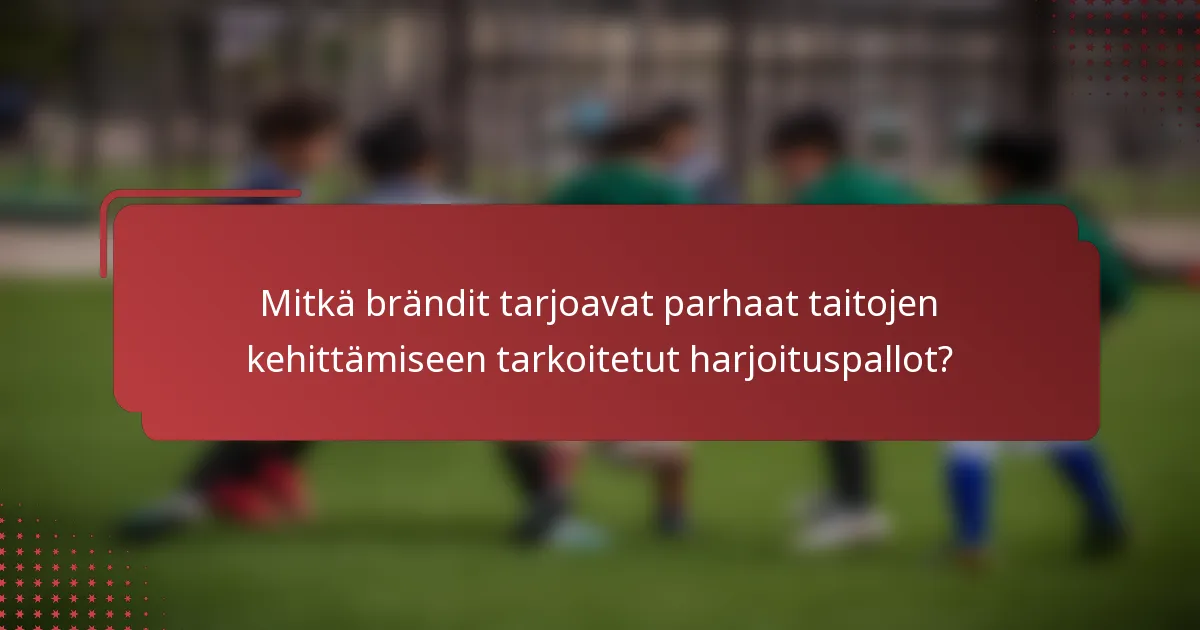 Mitkä brändit tarjoavat parhaat taitojen kehittämiseen tarkoitetut harjoituspallot?